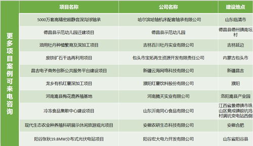 銅仁節(jié)能評(píng)估 專家團(tuán)隊(duì)領(lǐng)航，開發(fā)項(xiàng)目精益求精
