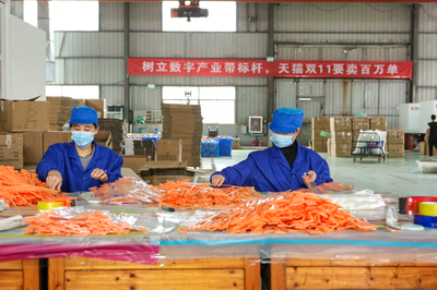 賣空了!天貓雙11首日產業帶商家庫存告急:今年太刺激