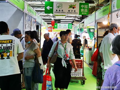 端午盛會綻放蓉城，西部地區最大節慶展會今日開幕，萬種商品引領消費熱潮